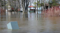 Petrie in flood 2008