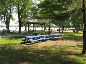 Petrie Island picnic area