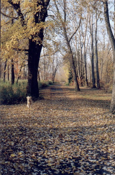 autumn2000.jpg