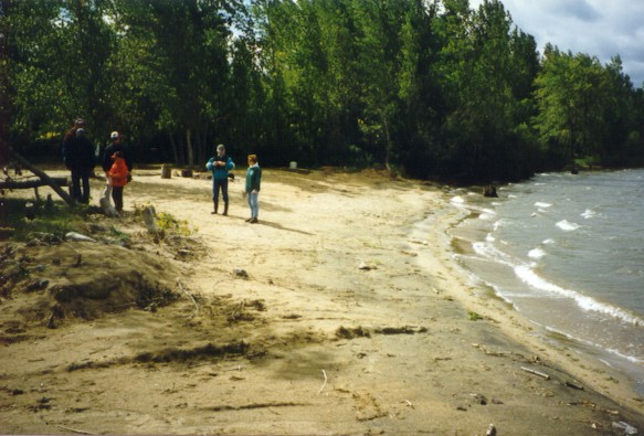beach1.jpg