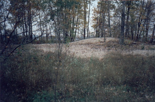 sanddunes.jpg