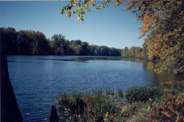 turtlepond.jpg