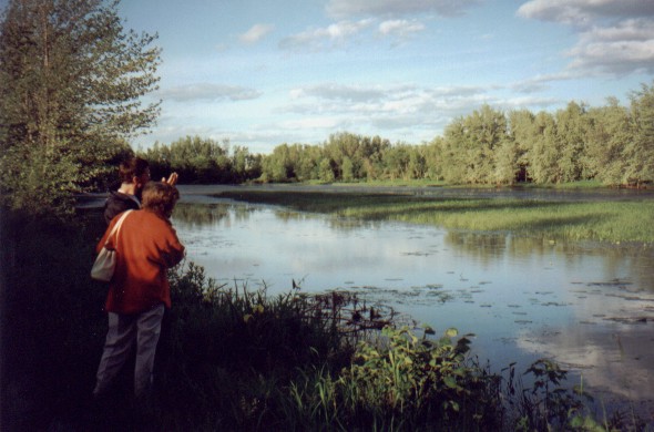 turtlepond2.jpg