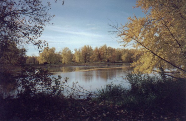 view1.jpg