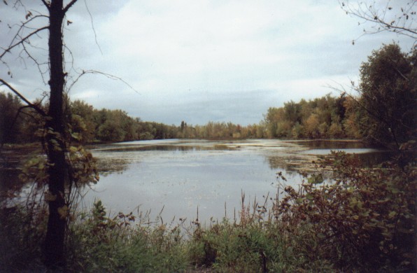 view2.jpg