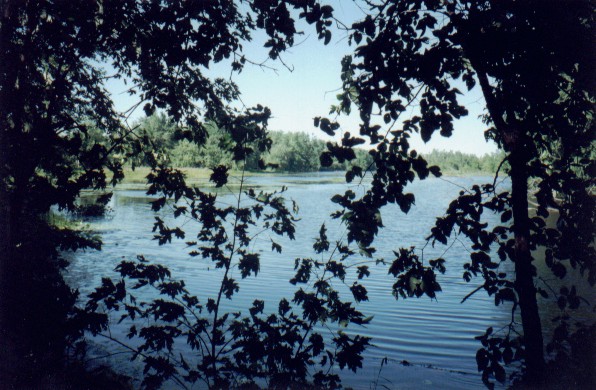 view3.jpg
