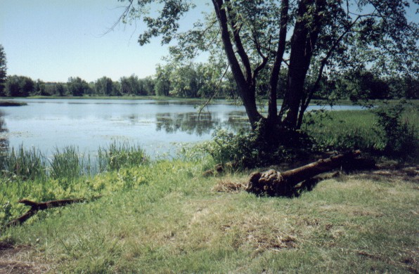 view4.jpg