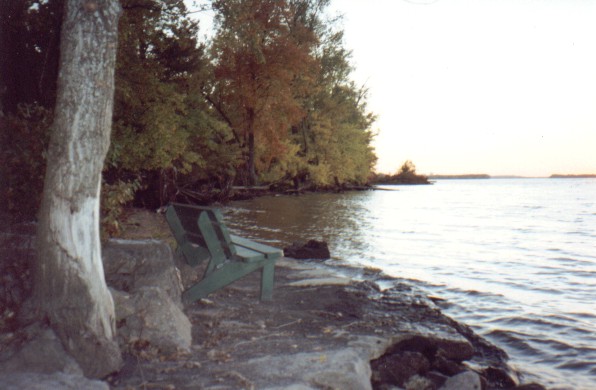 view5.jpg