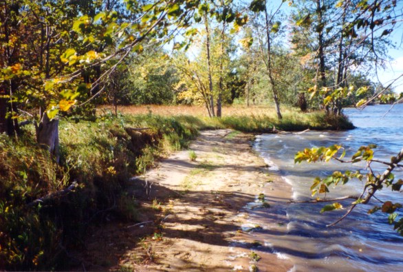 water1.jpg